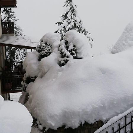 Appartement Schoeffmann Bad Kleinkirchheim Zewnętrze zdjęcie